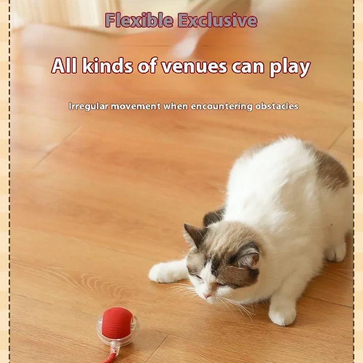 🐾 The Ultimate Smart Rolling Cat Toy – Keep Your Cat Active &amp; Happy! 🐾