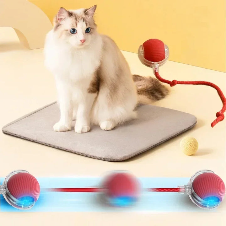 🐾 The Ultimate Smart Rolling Cat Toy – Keep Your Cat Active &amp; Happy! 🐾