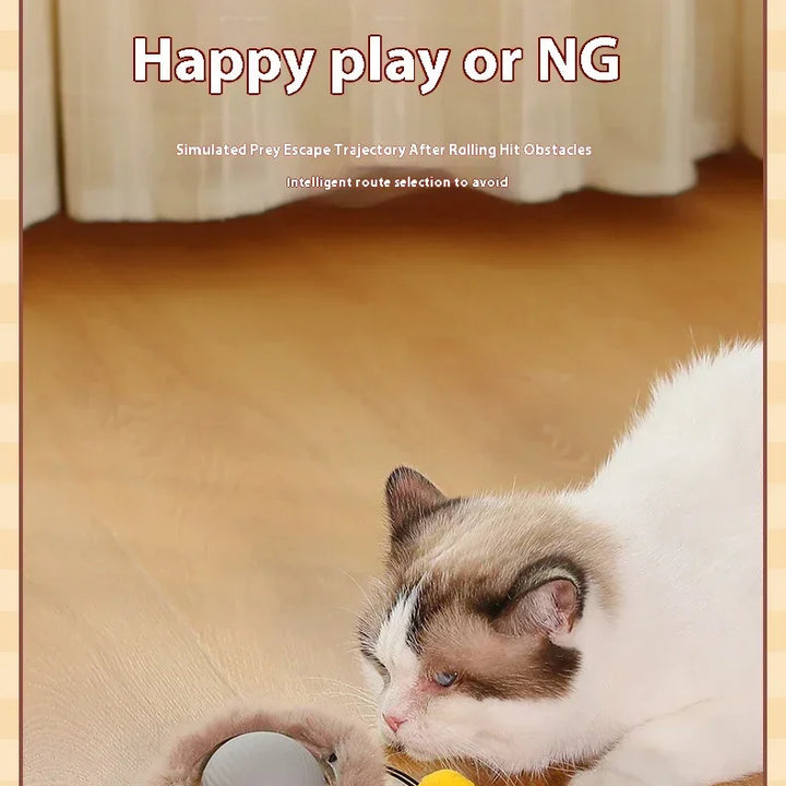 🐾 The Ultimate Smart Rolling Cat Toy – Keep Your Cat Active &amp; Happy! 🐾