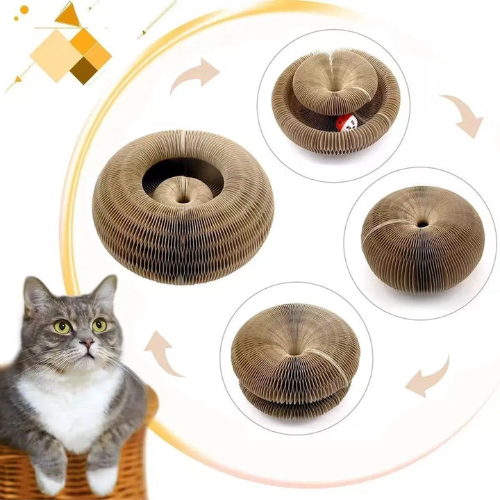 🐾 The Ultimate 3-in-1 Magic Cat Toy – Fun, Exercise &amp; Relaxation in One! 🐾