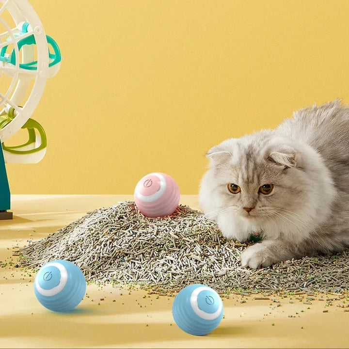 The Ultimate Smart Interactive Cat Toy – Keep Your Cat Entertained &amp; Active!