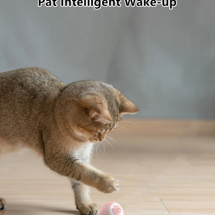 The Ultimate Smart Interactive Cat Toy – Keep Your Cat Entertained &amp; Active!