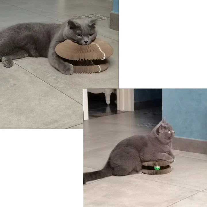 🐾 The Ultimate 3-in-1 Magic Cat Toy – Fun, Exercise &amp; Relaxation in One! 🐾