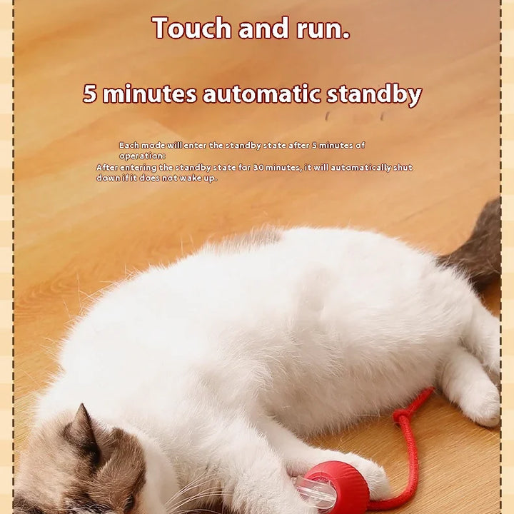 🐾 The Ultimate Smart Rolling Cat Toy – Keep Your Cat Active &amp; Happy! 🐾