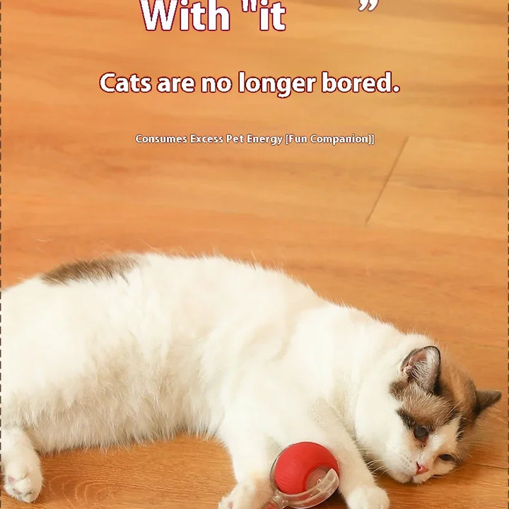 🐾 The Ultimate Smart Rolling Cat Toy – Keep Your Cat Active &amp; Happy! 🐾