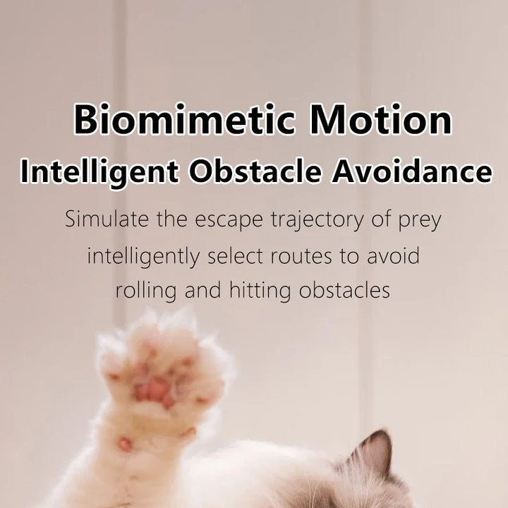 The Ultimate Smart Interactive Cat Toy – Keep Your Cat Entertained &amp; Active!