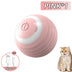 The Ultimate Smart Interactive Cat Toy – Keep Your Cat Entertained &amp; Active!