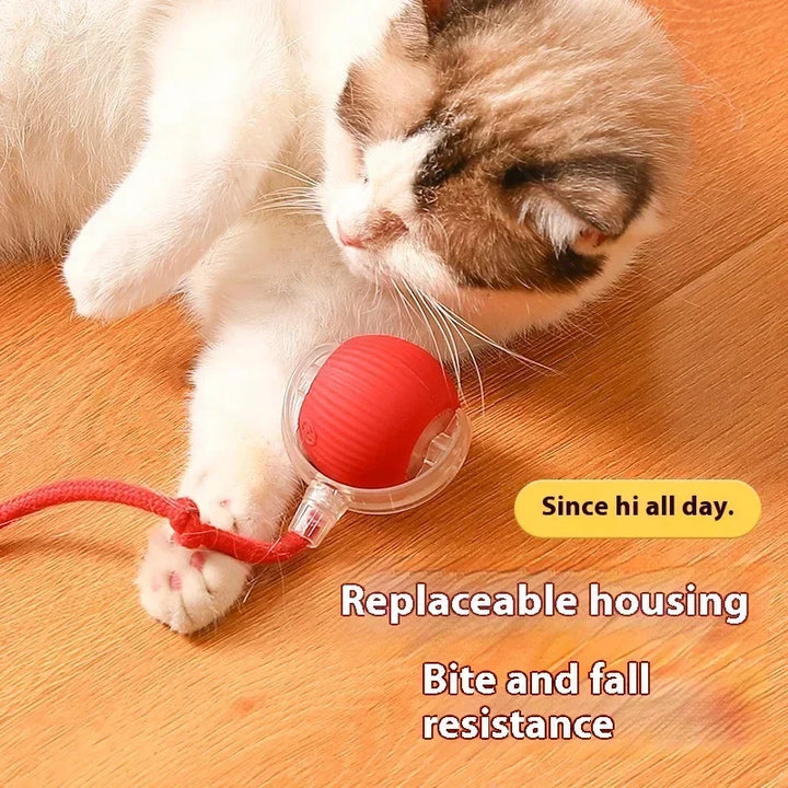 🐾 The Ultimate Smart Rolling Cat Toy – Keep Your Cat Active &amp; Happy! 🐾