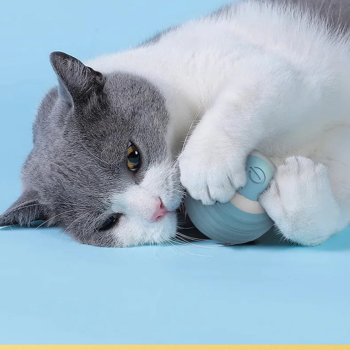 The Ultimate Smart Interactive Cat Toy – Keep Your Cat Entertained &amp; Active!