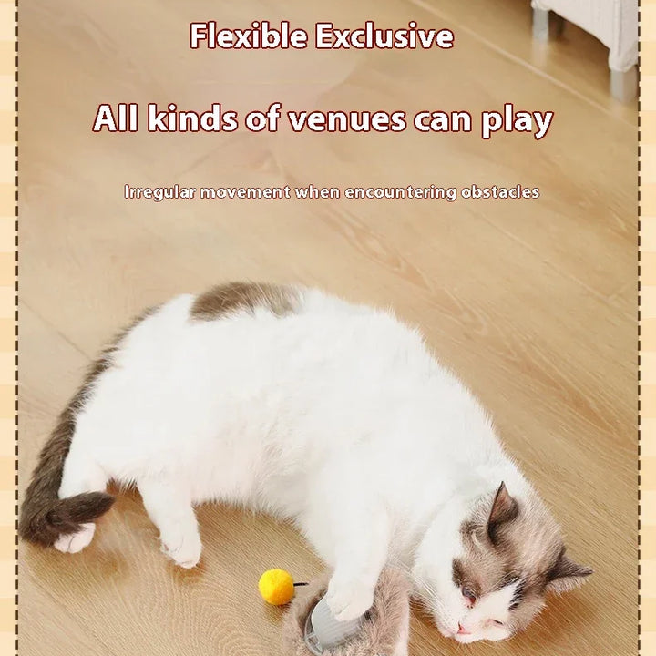 🐾 The Ultimate Smart Rolling Cat Toy – Keep Your Cat Active &amp; Happy! 🐾