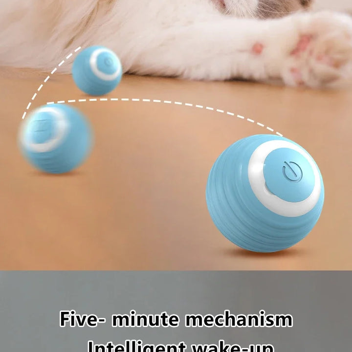 The Ultimate Smart Interactive Cat Toy – Keep Your Cat Entertained &amp; Active!